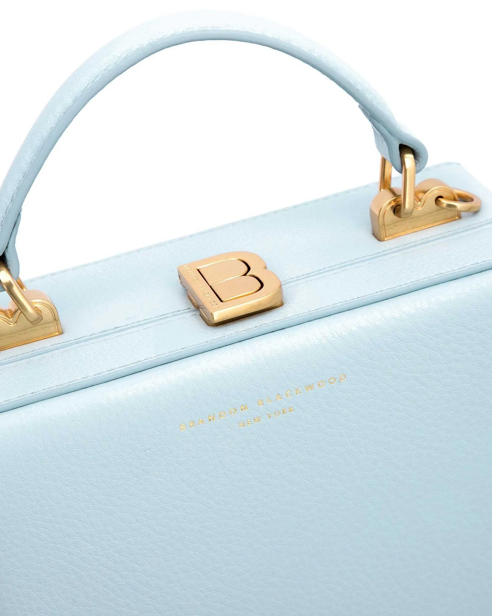 Brandon Blackwood Top Handle Bags>Kendrick Trunk Powder Blue Leather W/Brass Hardware